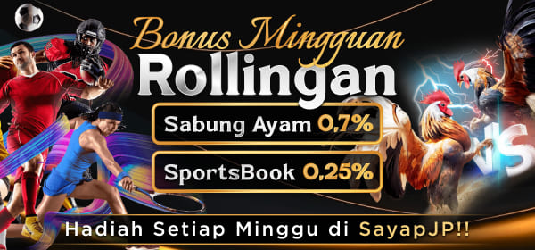 Slide 5